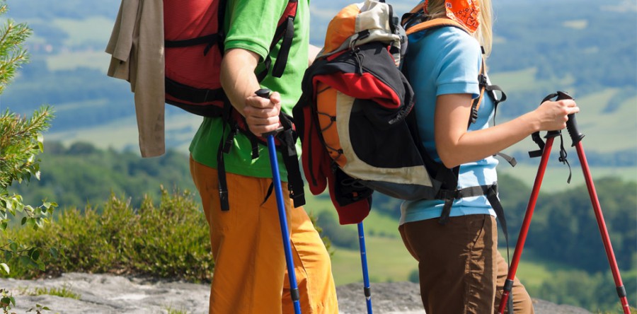 Sed blandit massa vel